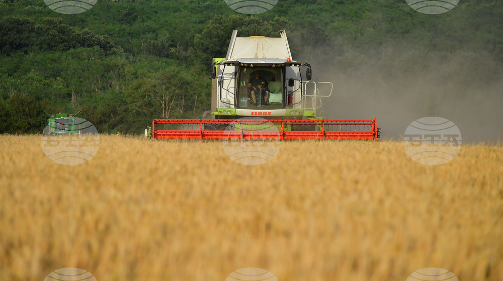 Исперих - жътва