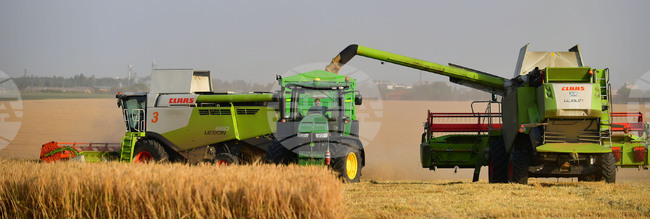 Проекти на заповеди за изменение на Насоките за кандидатстване по процедури от Плана за възстановяване и устойчивост са публикувани за обществено обсъждане, съобщи МЗХ