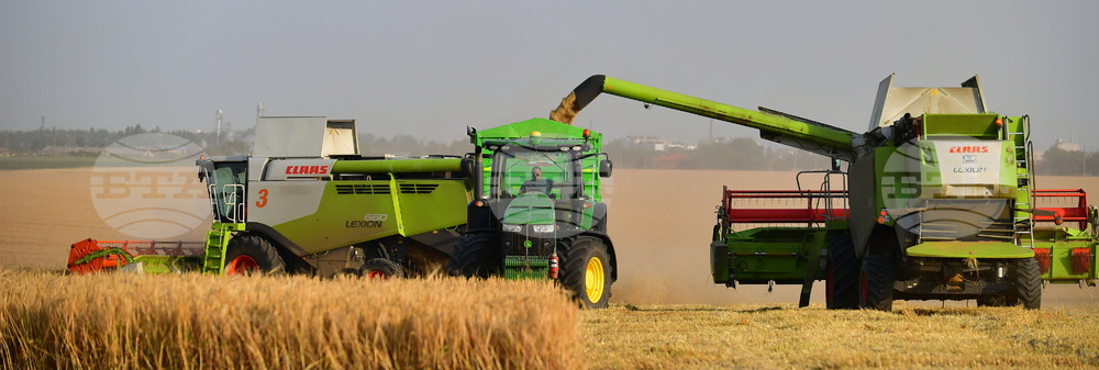 Исперих - жътва