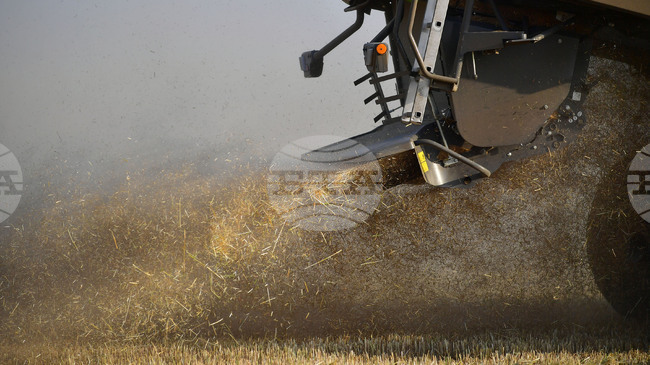 Глобалните стокови пазари отново останаха сравнително спокойни през изминалата седмица, отчитат експертите на Софийската стокова борса