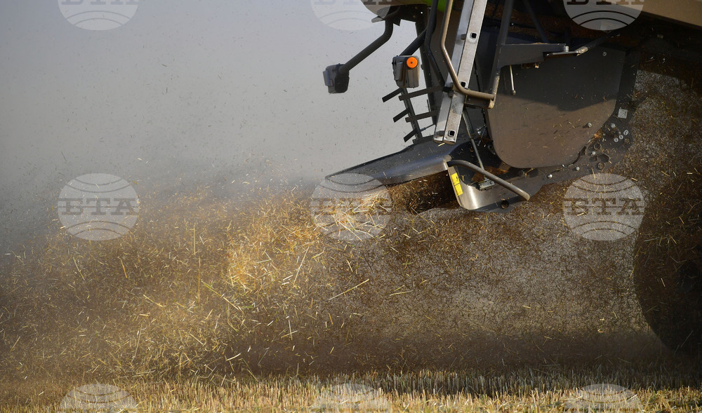 Исперих - жътва