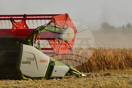 Исперих - жътва