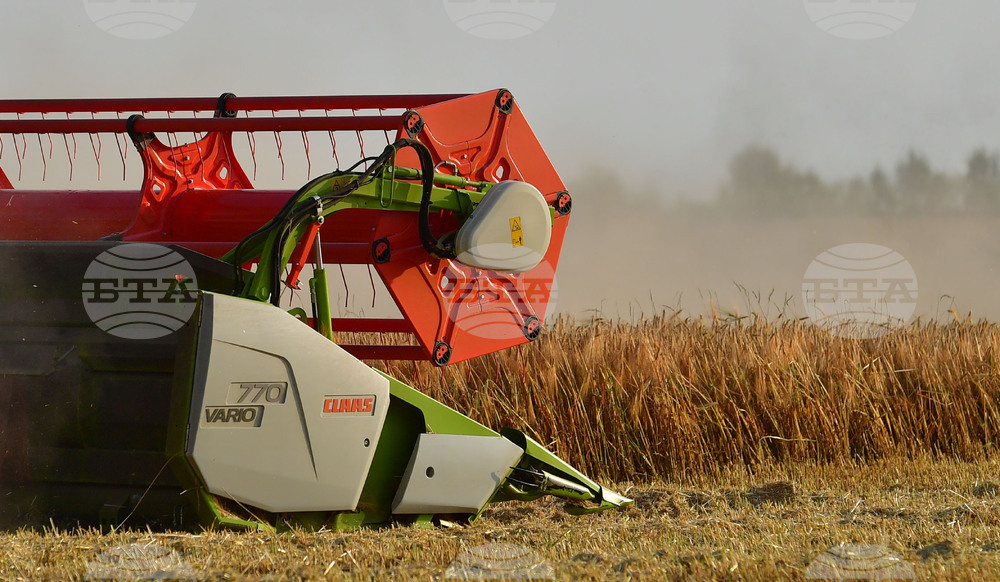 Исперих - жътва