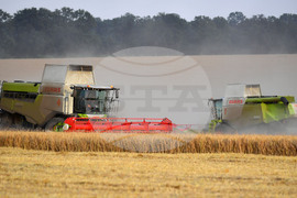 Исперих - жътва