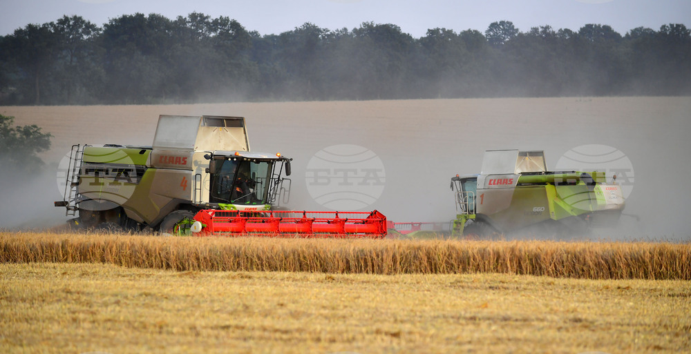 Исперих - жътва