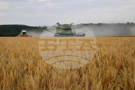 Исперих - жътва