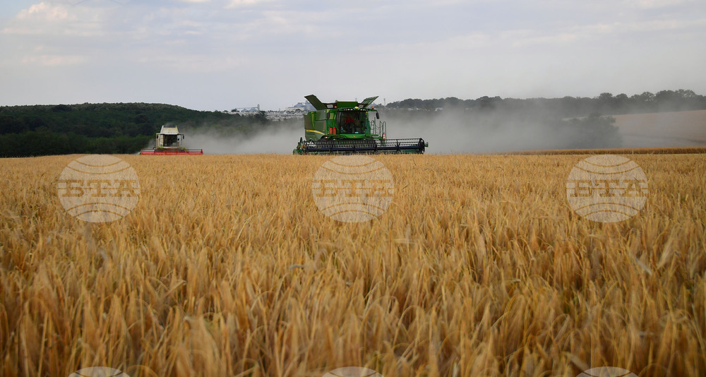 Исперих - жътва