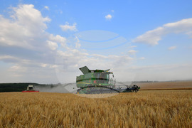 Исперих - жътва