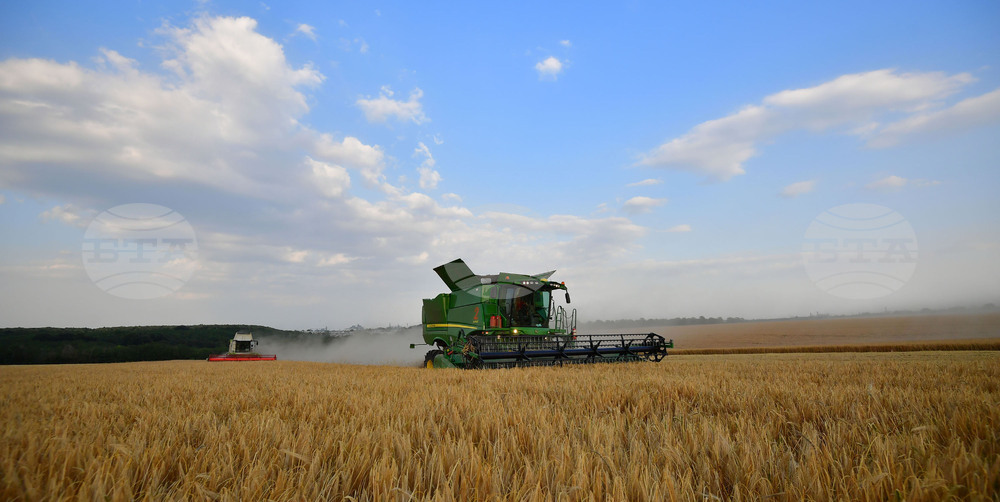 Исперих - жътва