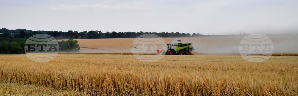 Исперих - жътва