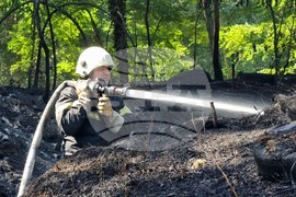 Варна - Харамията - пожар