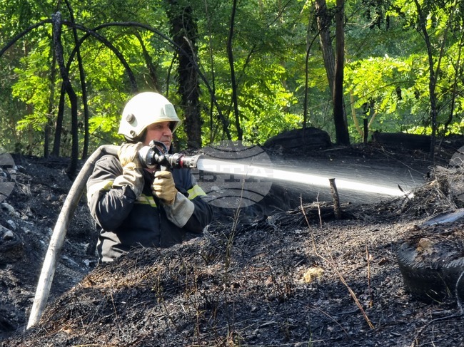 Варна - Харамията - пожар