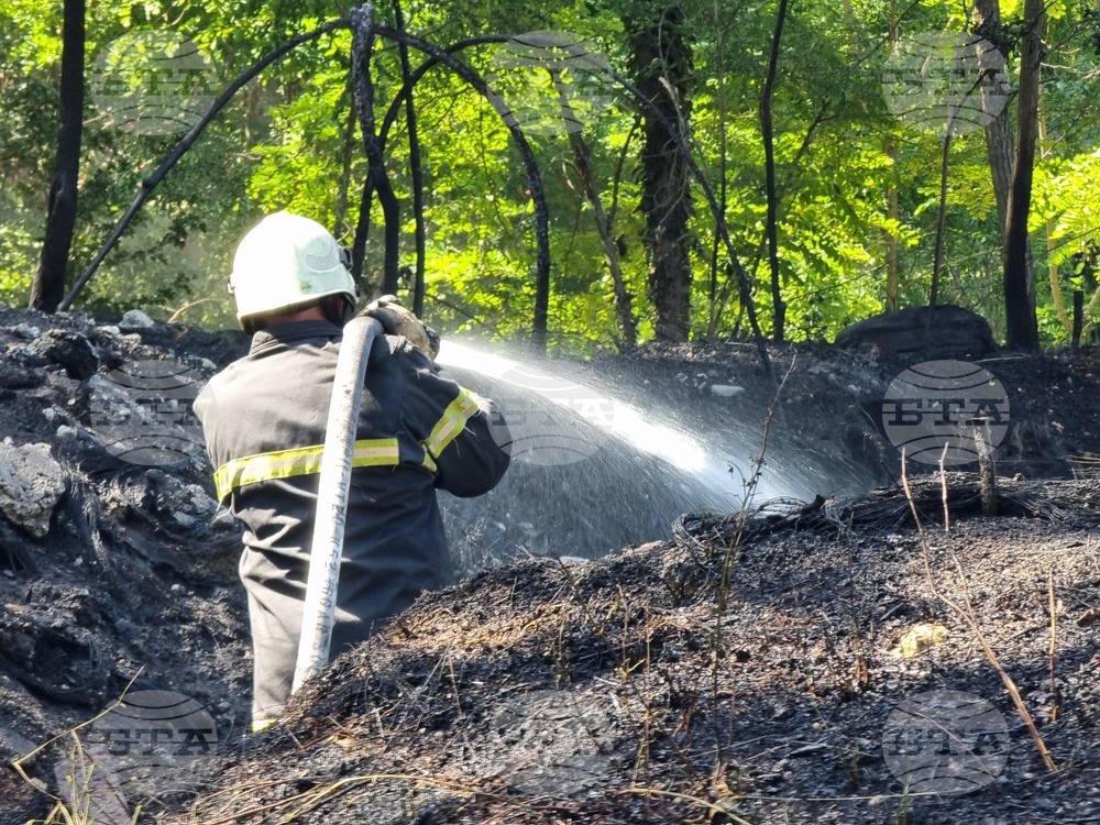 Варна - Харамията - пожар