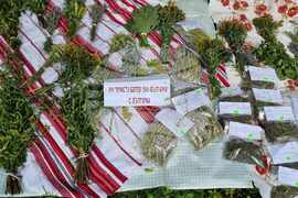 Силистра - „С билки и песни на Еньовден” - празник 