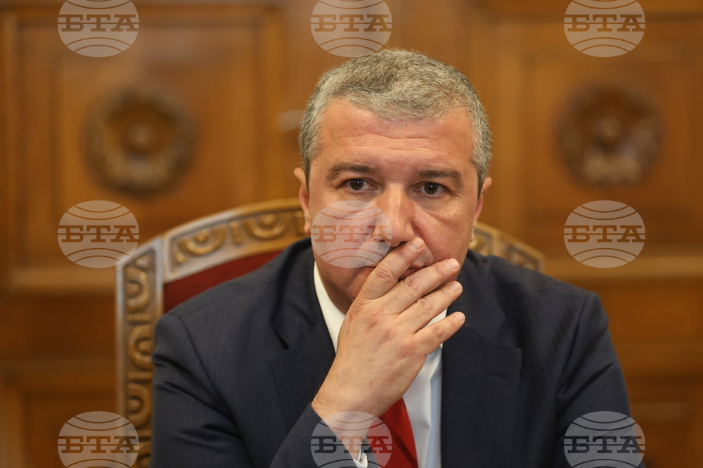 Президент - „БСП за България“ - консултации