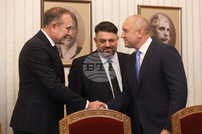 Президент - „БСП за България“ - консултации