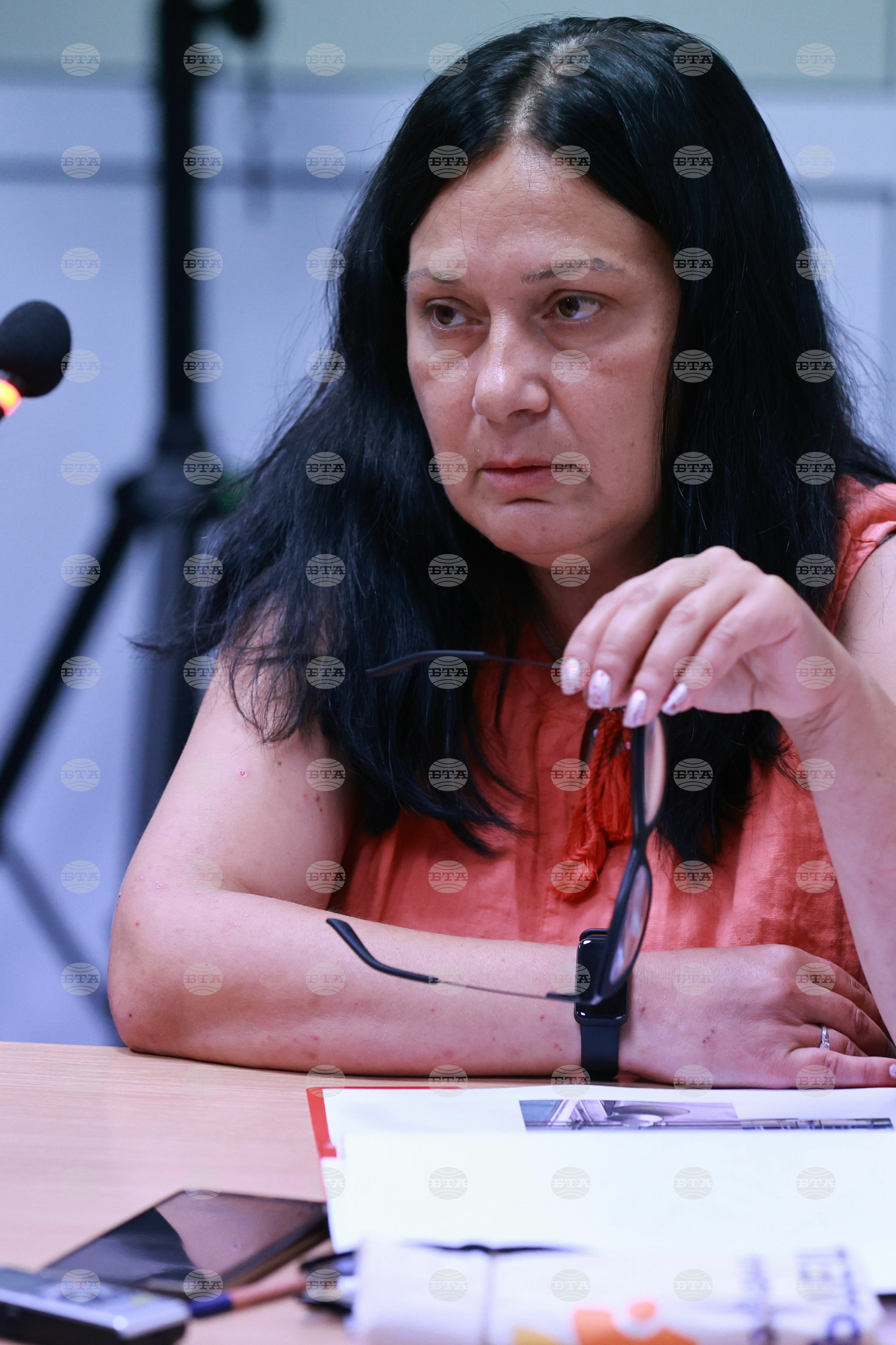Национален пресклуб на БТА-Плевен - проект "Европа на Балканите: Общо бъдеще"