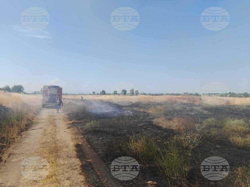 За едно денонощие са подадени 11 сигнала за пожари на територията на област Пазарджик