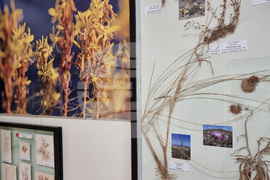 Варна - Природонаучен музей - изложба „Био логично“