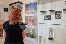 Варна - Природонаучен музей - изложба „Био логично“