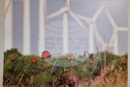 Варна - Природонаучен музей - изложба „Био логично“