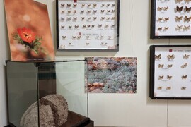 Варна - Природонаучен музей - изложба „Био логично“