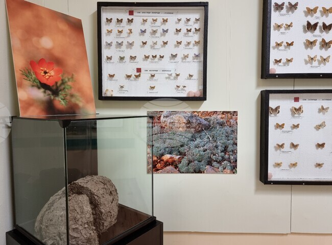 Варна - Природонаучен музей - изложба „Био логично“