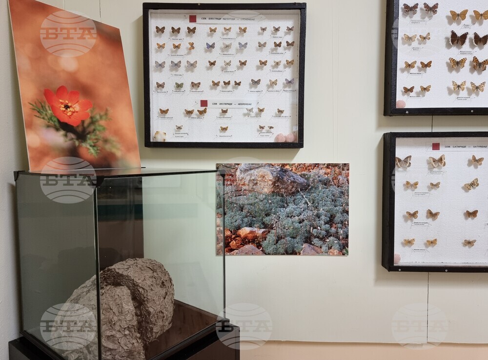 Варна - Природонаучен музей - изложба „Био логично“