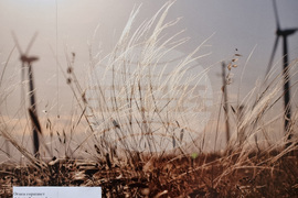 Варна - Природонаучен музей - изложба „Био логично“