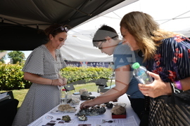 Младежки научен фестивал “Ало, Космос! Говори България”