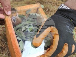 Снимка: Министерство на околната среда и водите