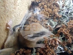 Снимка: Министерство на околната среда и водите