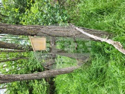 Снимка: Министерство на околната среда и водите