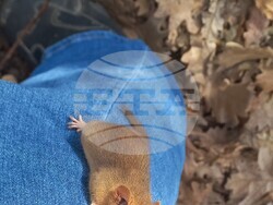 Снимка: Министерство на околната среда и водите