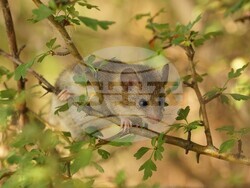 Снимка: Министерство на околната среда и водите