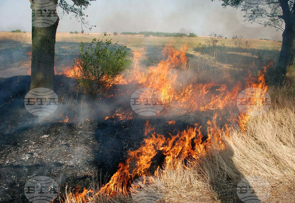 Пожар в масив с пшеница и ечемик е възникнал в община Бойчиновци, изгорели са 210 декара продукция