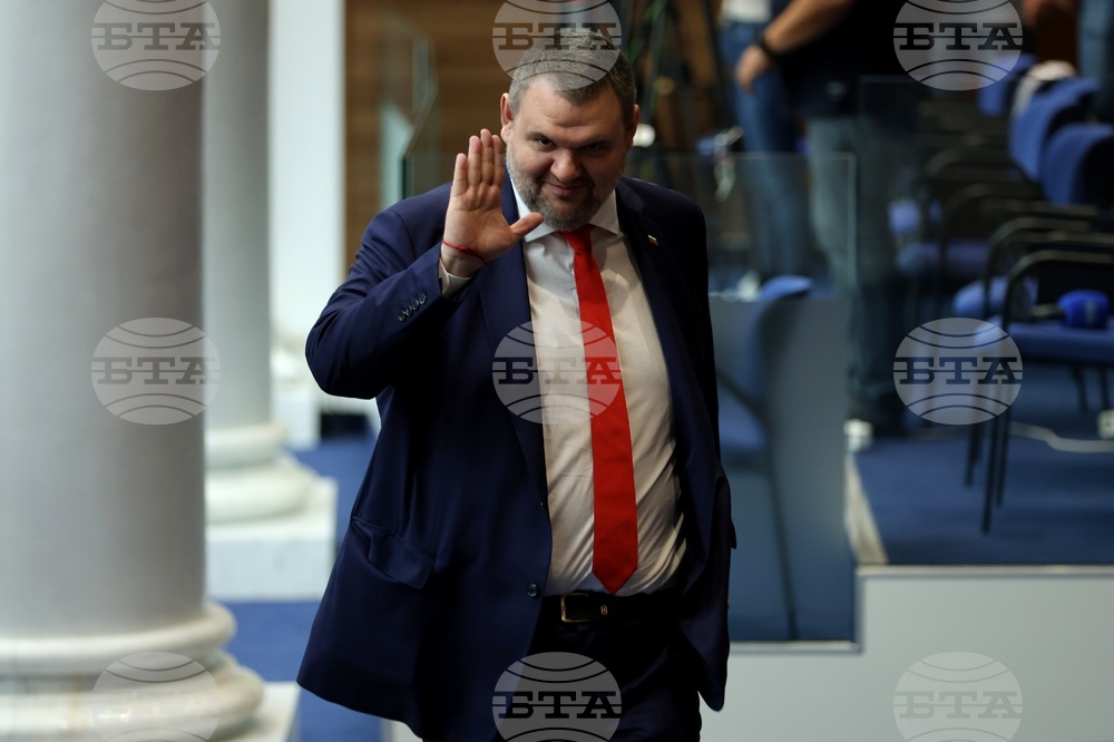 Парламент - заседание - Делян Пеевски