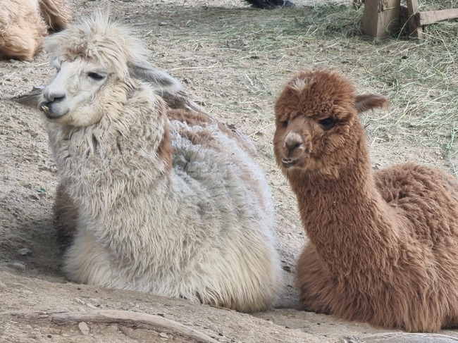 The Weather on March 20