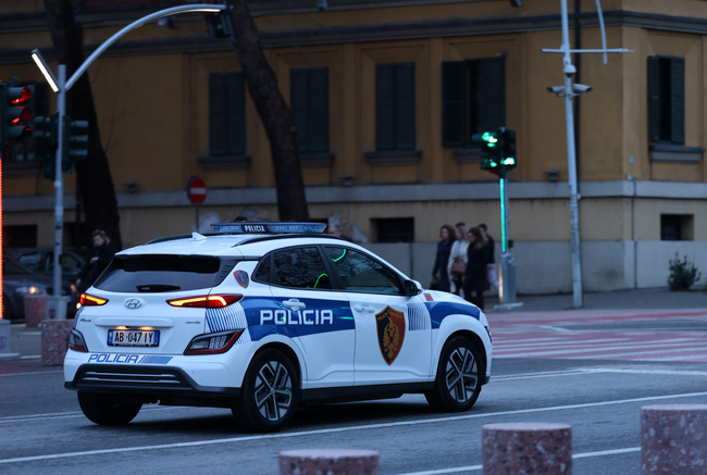 Албанската полиция арестува десет души при акция срещу група, извършвала трафик на оръжия от Косово към Албания