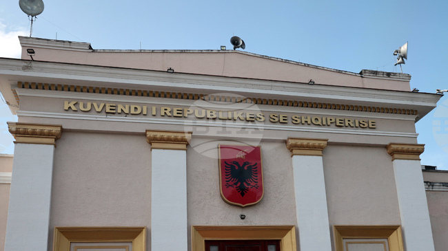 Протест пред албанския парламент срещу проектозакон за равенство между половете, в който според протестиращи се признават повече от два пола