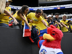 Copa America Soccer Ecuador Jamaica