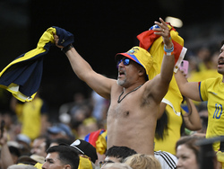 Copa America Soccer Ecuador Jamaica