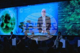 Green Transition Forum 4.0 - Новите перспективи пред Централна и Източна Европа - форум - Панел: Източноевропейският дневен ред в COP29: Водеща роля в прехода към чисти технологии