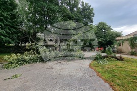 Видин - буря - паднали дървета и клони