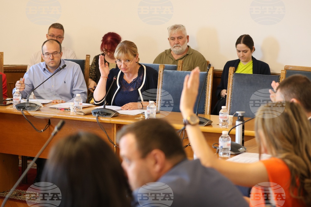 Парламент - Временна комисия за изработване на проект на Правилник за организацията и дейността на Народното събрание - заседание