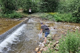 Самоков - река Искър - зарибяване