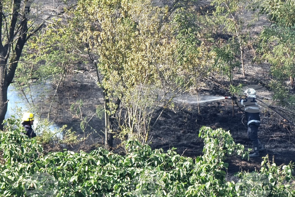 Игнатиево - село Доброглед - пожар