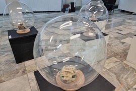 Ловеч - Бруно Жорж Давид - изложба