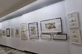 Ловеч - Бруно Жорж Давид - изложба