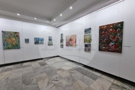 Ловеч - Бруно Жорж Давид - изложба